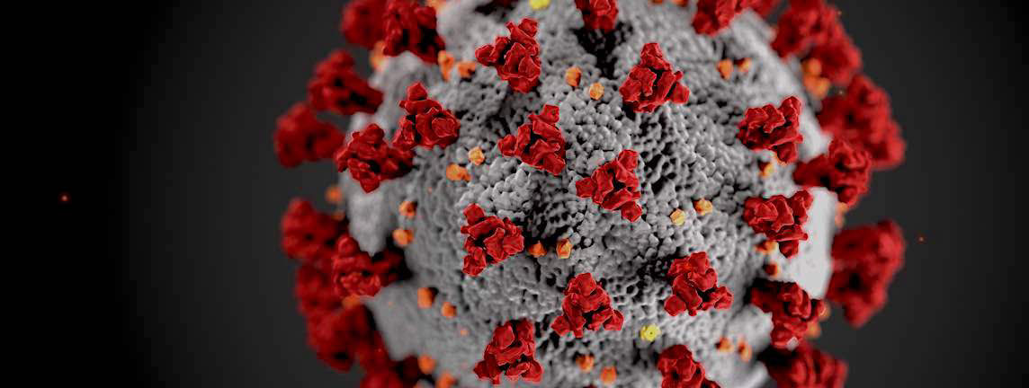 microbes