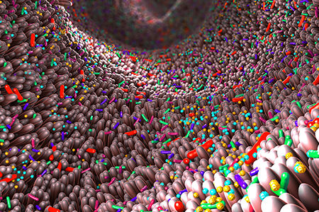 Different germs in the human intestines called microbiome - 3d illustration