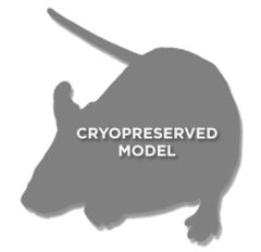 Diabetic Spontaneous Mutant Mouse Model 