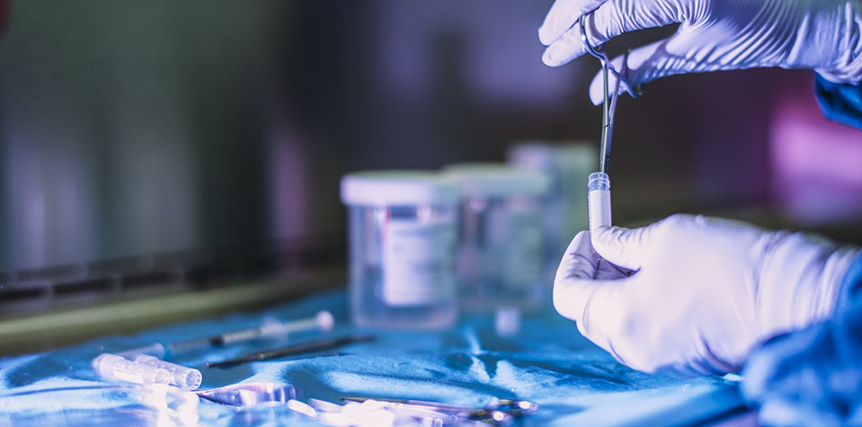 gloved hands extracting from tube