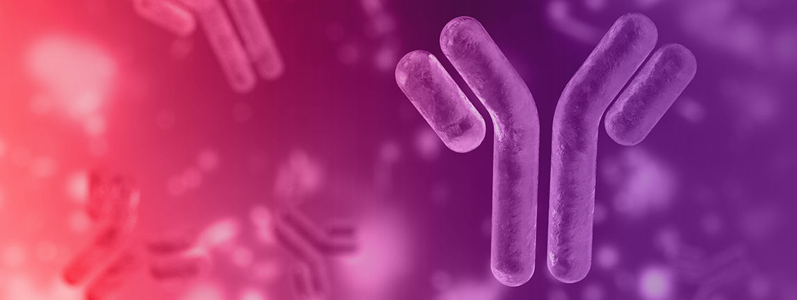Antibody graphic