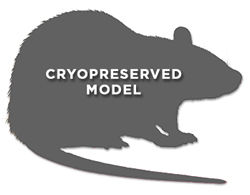 Goto Kakizaki Inbred Rat Model 