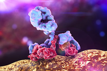 onolcogy cells