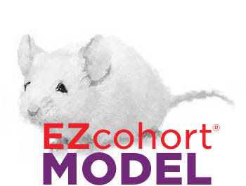 Rag2 (Model 461) Constitutive Knockout Mouse Model  