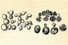 Saccharomyces cerevisiae